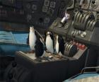 Penguins eski bir uçak düştü tamir